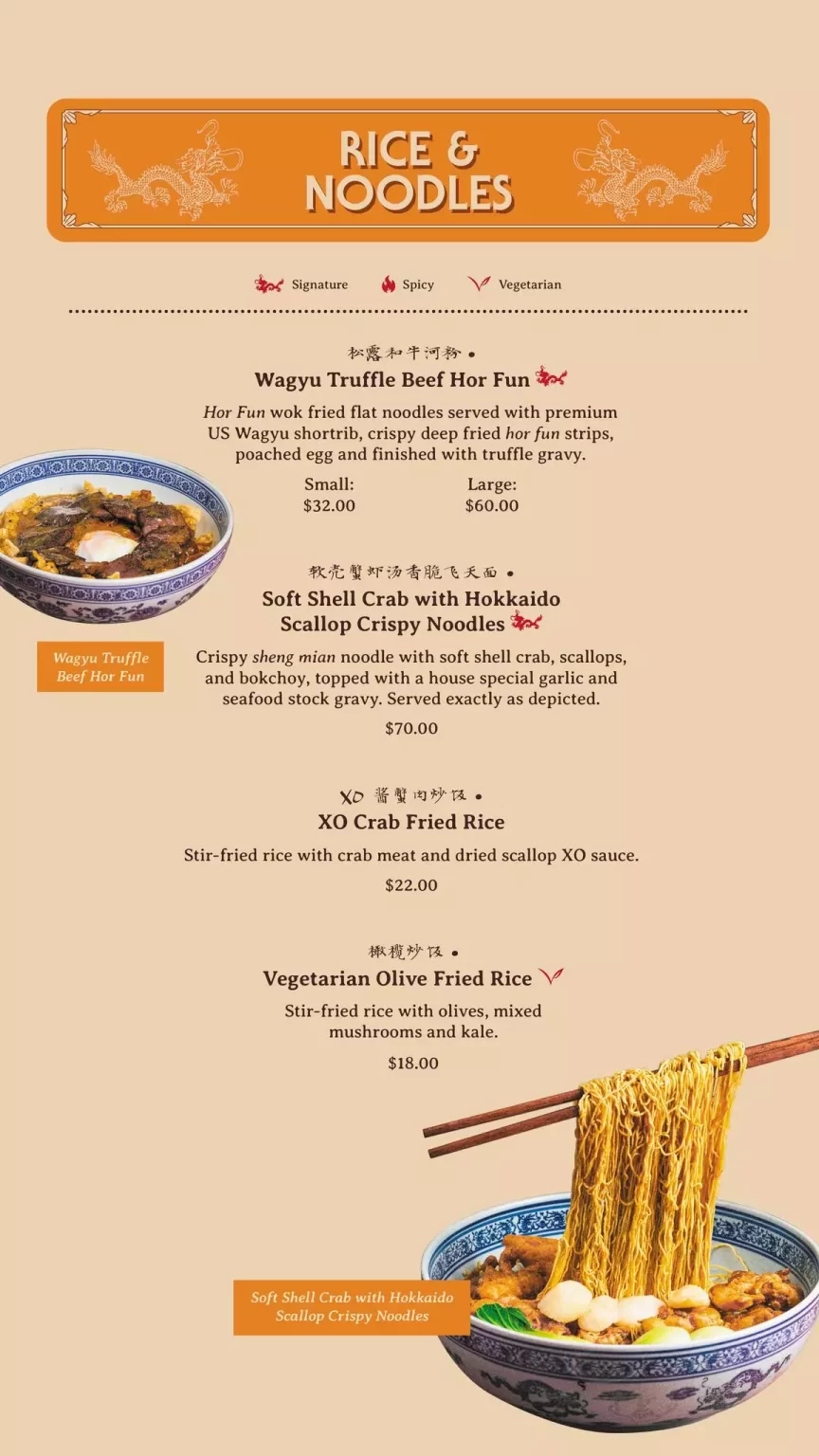 THE DRAGON CHAMBER RICE & NOODLES MENU PRICES 2024